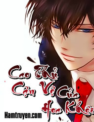 Cao Thủ Cận Vệ Của Hoa Khôi đọc online